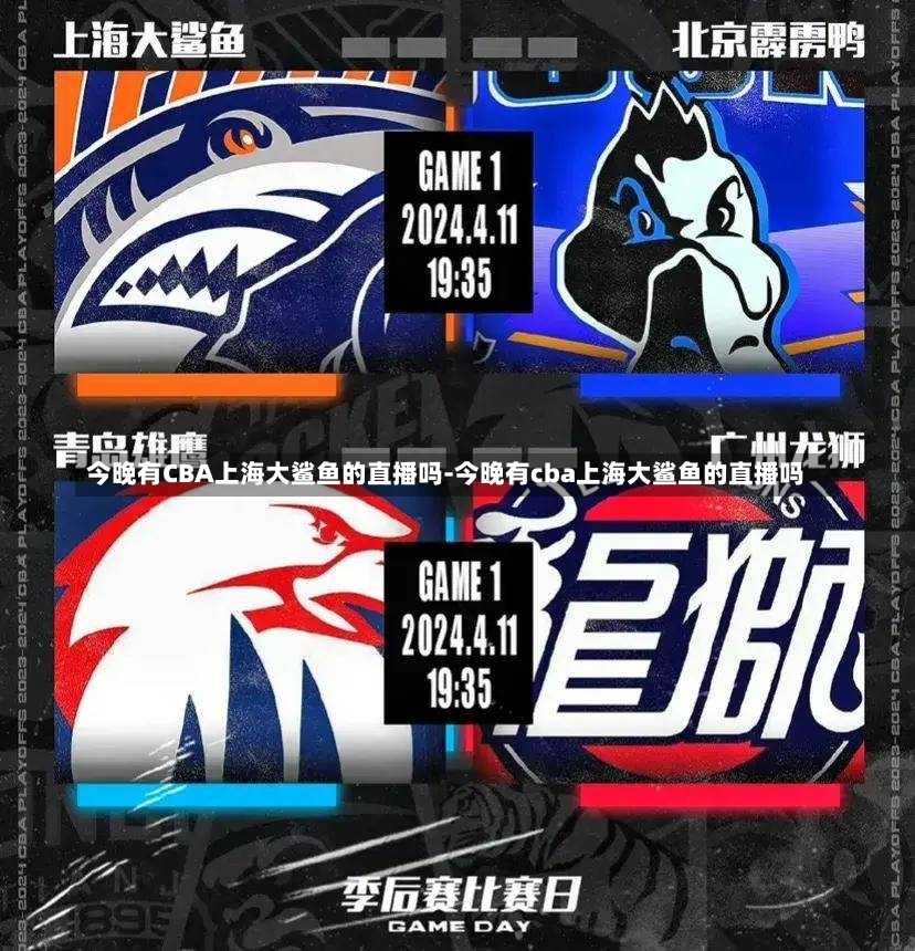 更是为所有