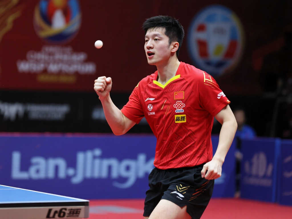 引援计划的 引援计划的